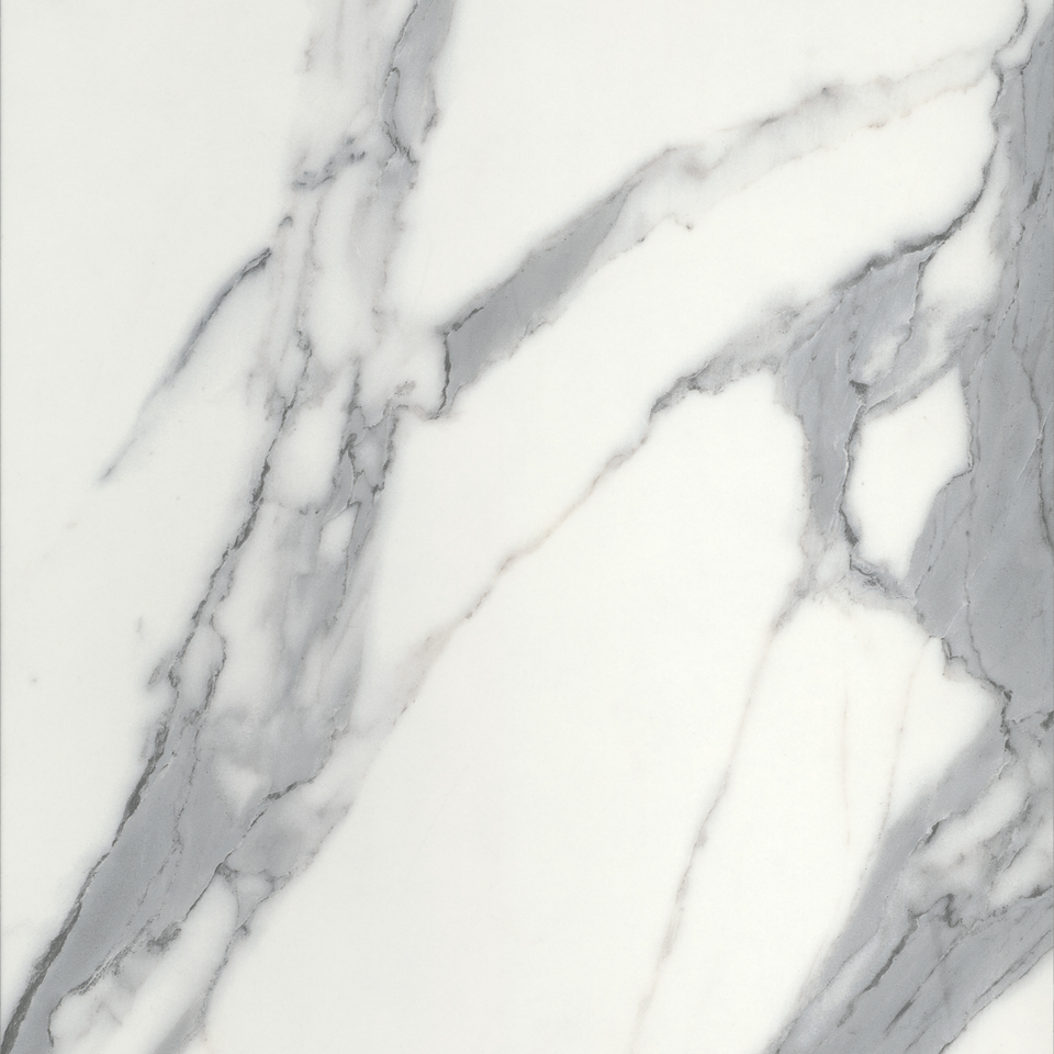 Xenolith Calacutta Grey